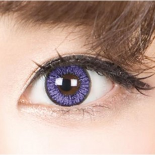 NEO Sunflower Violet(N223)